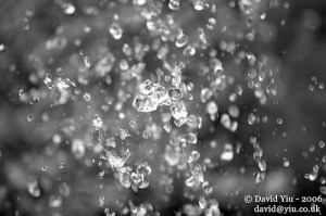 Water Repellent? (Photo: David Yiu)