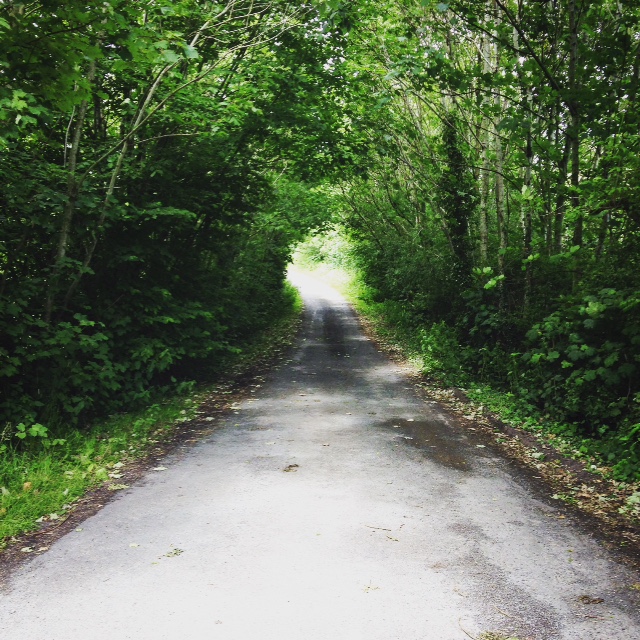 Mysterious country lane (image: ragtimecyclist)