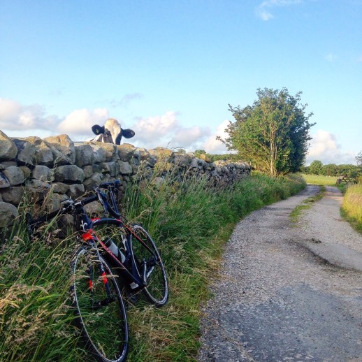 Ever get the feeling you're being watched? (Image: ragtimecyclist.com)