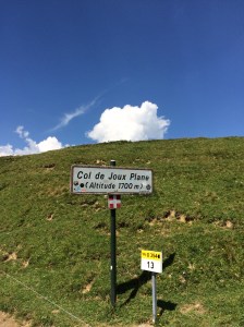 Col du Joux Plane