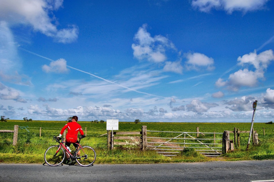 Processed with MOLDIV